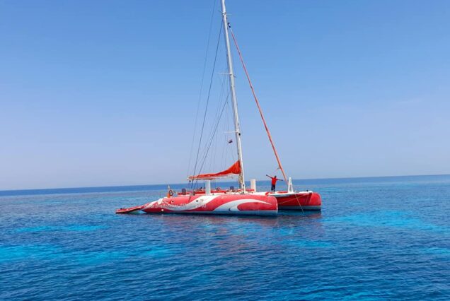 Ocean Diva Katamaran (Kleine Gruppe)