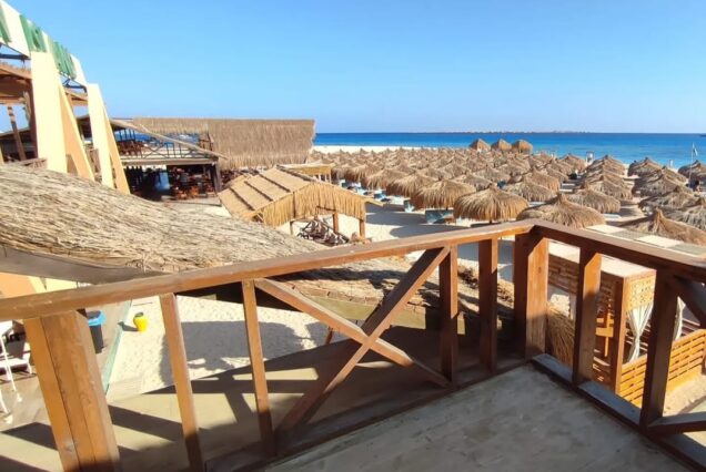 Schnorcheln Eden Insel & Mittagessen