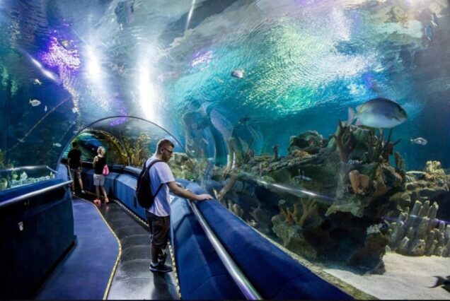 Eintrittskarte zum Hurghada Grand Aquarium