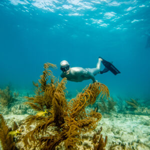 VIP Orange Bay Hurghada Insel