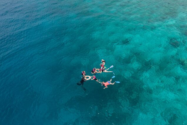 Nemo Insel & Schnorcheln Und Tauchen