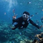 red sea snorkeling spots im sommer: schnorchler über einem korallenriff im roten meer