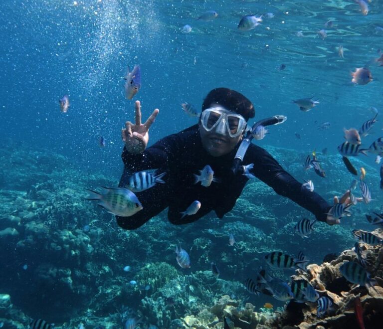 red sea snorkeling spots im sommer: schnorchler über einem korallenriff im roten meer