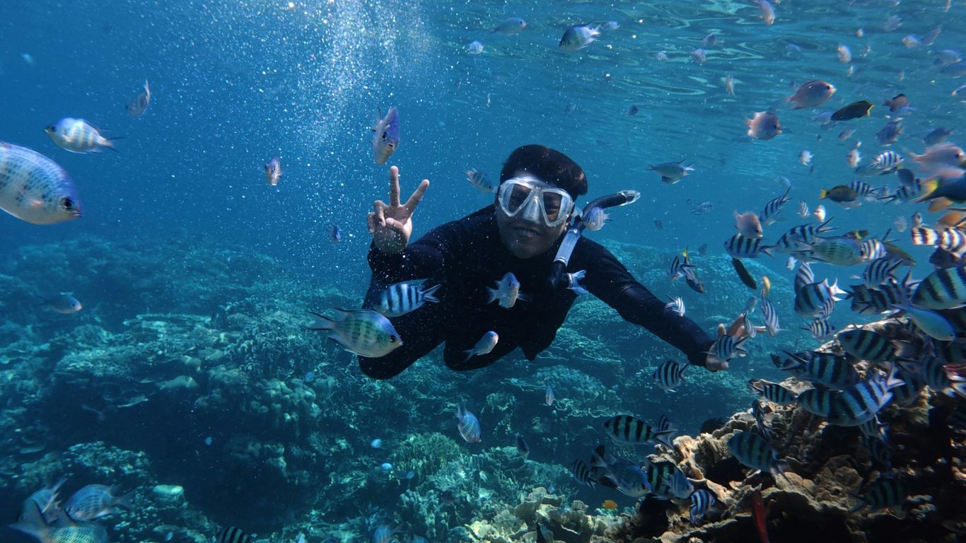 red sea snorkeling spots im sommer: schnorchler über einem korallenriff im roten meer